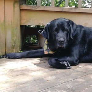 Meet your Posher, Cory